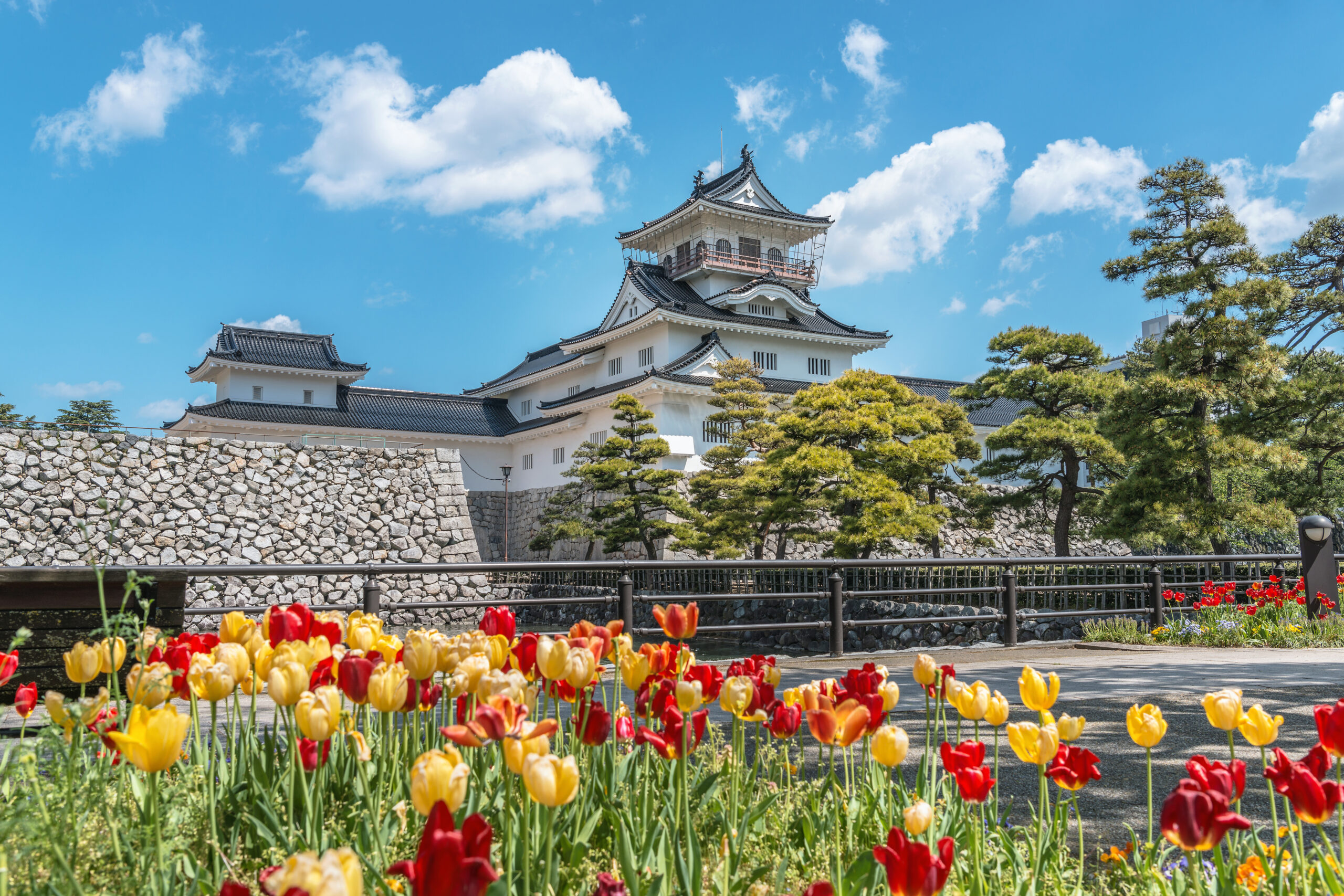 チューリップが咲く春の富山城公園の風景