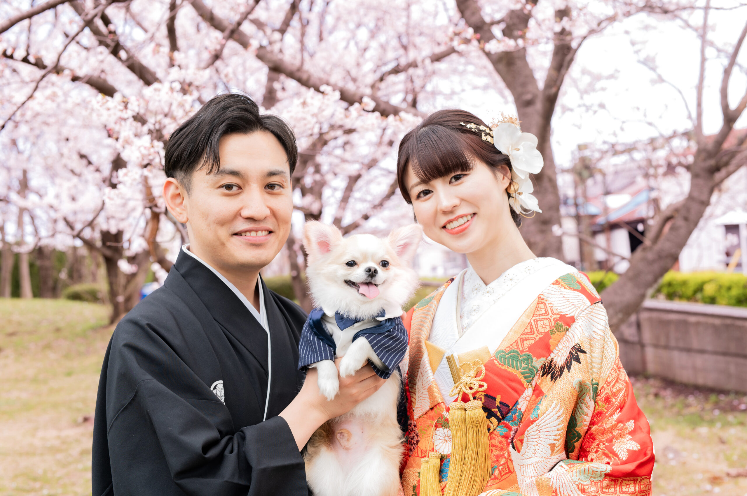 桜フォト　ウェディング 色打掛