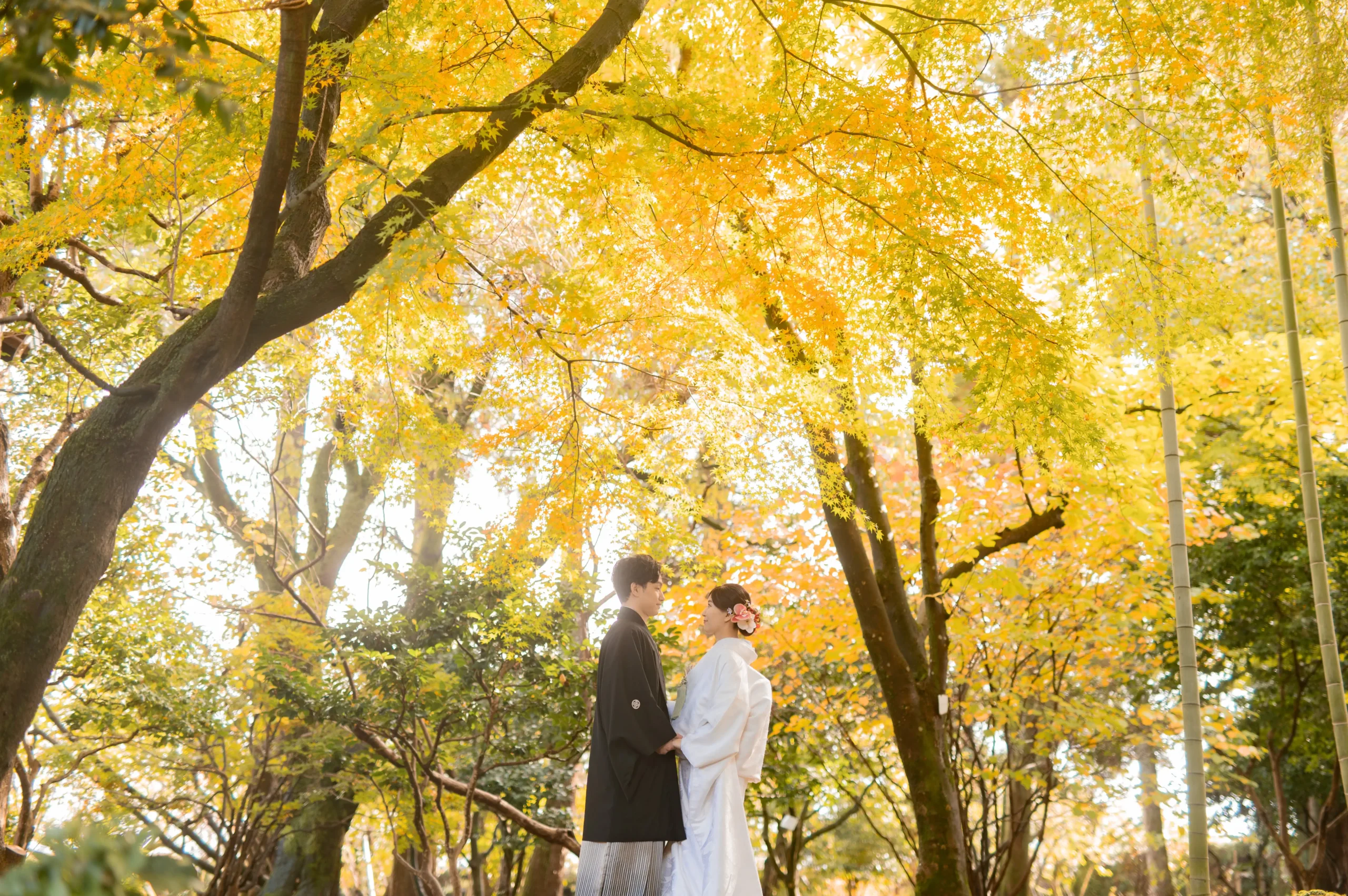 結婚式前撮り 和装　紅葉