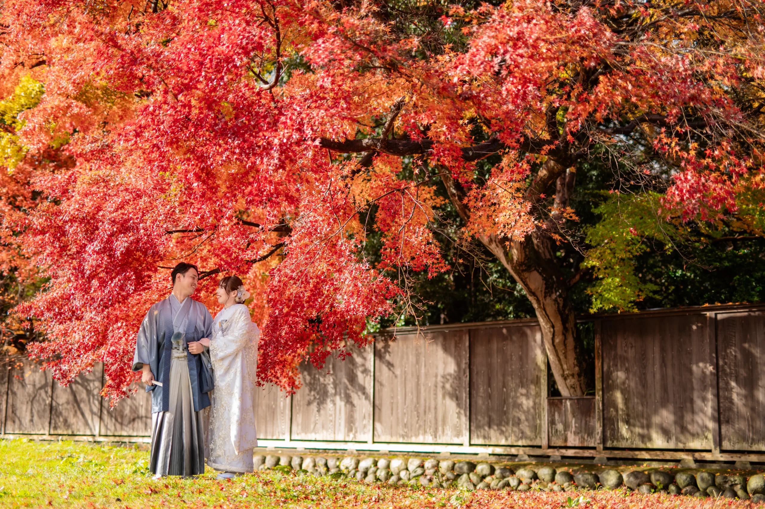 和装　ウェディングフォト　紅葉
