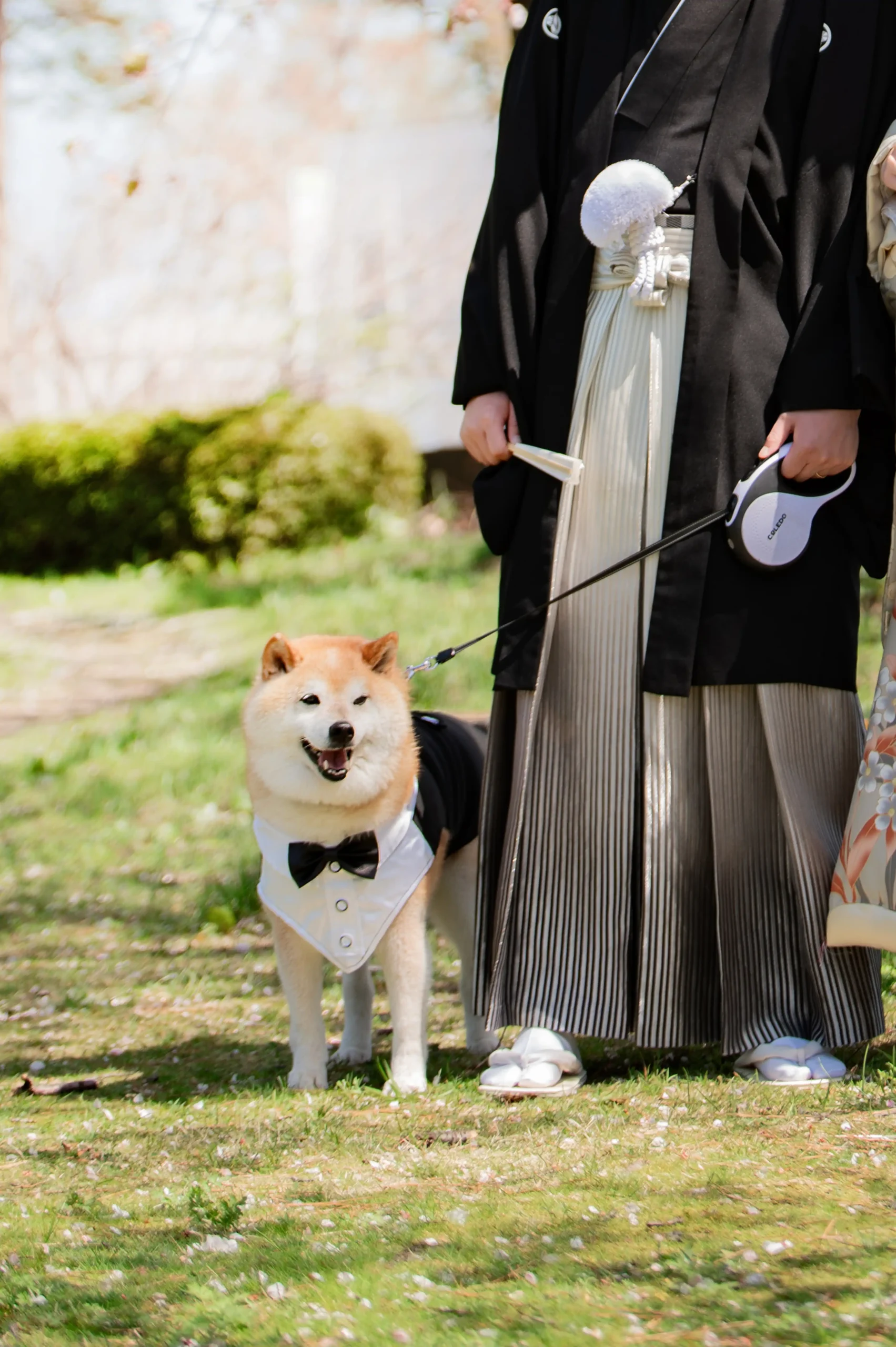 富山 結婚式 ウェディング 前撮り