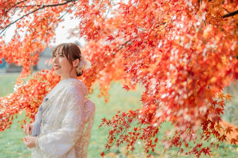 紅葉　和装　
