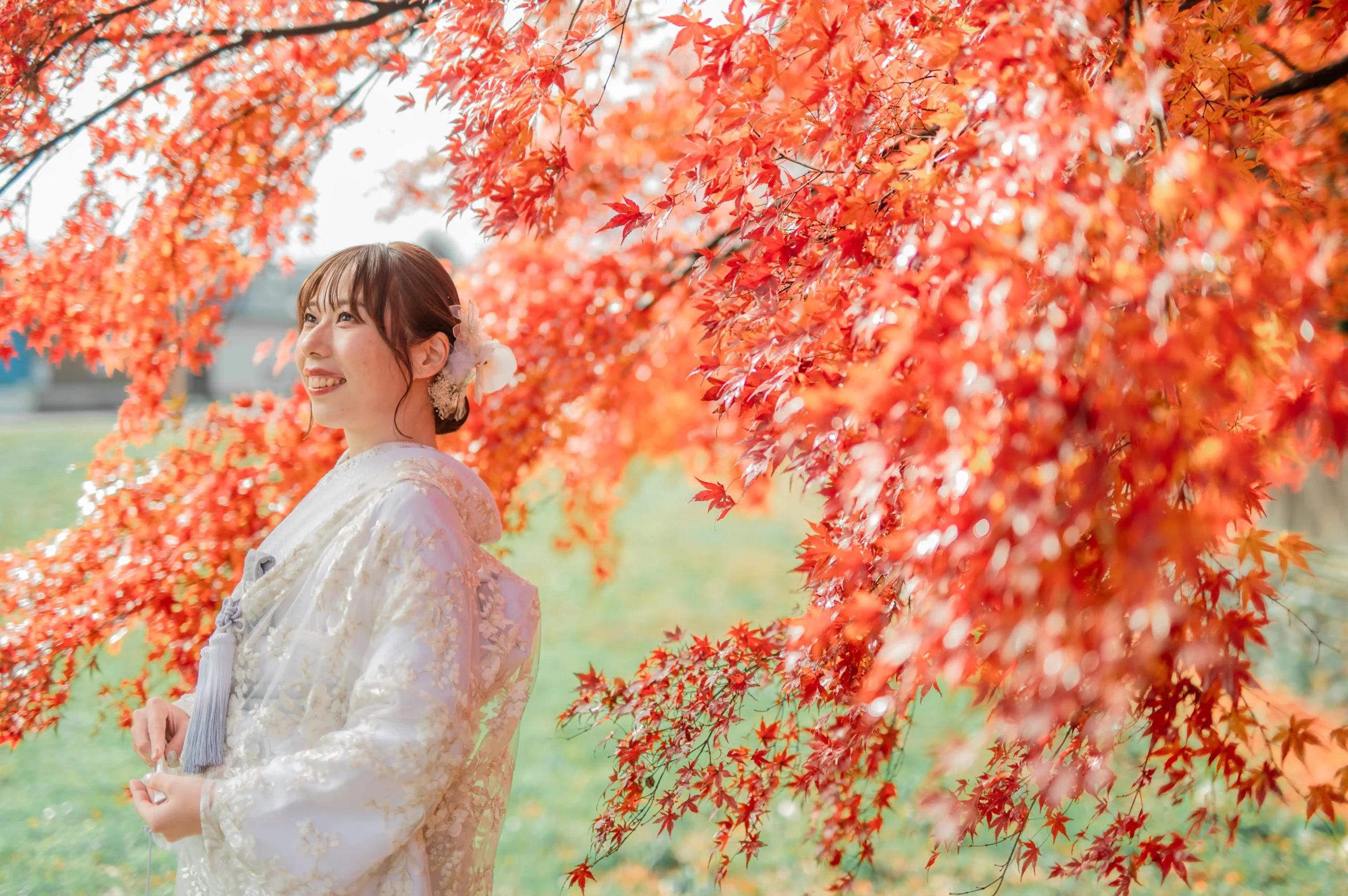 紅葉　和装　