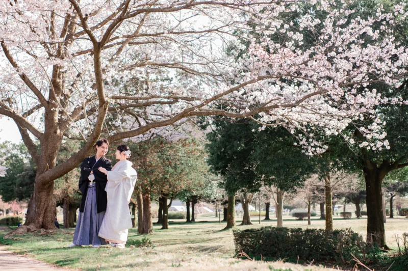 桜　ウェディング　結婚式　富山