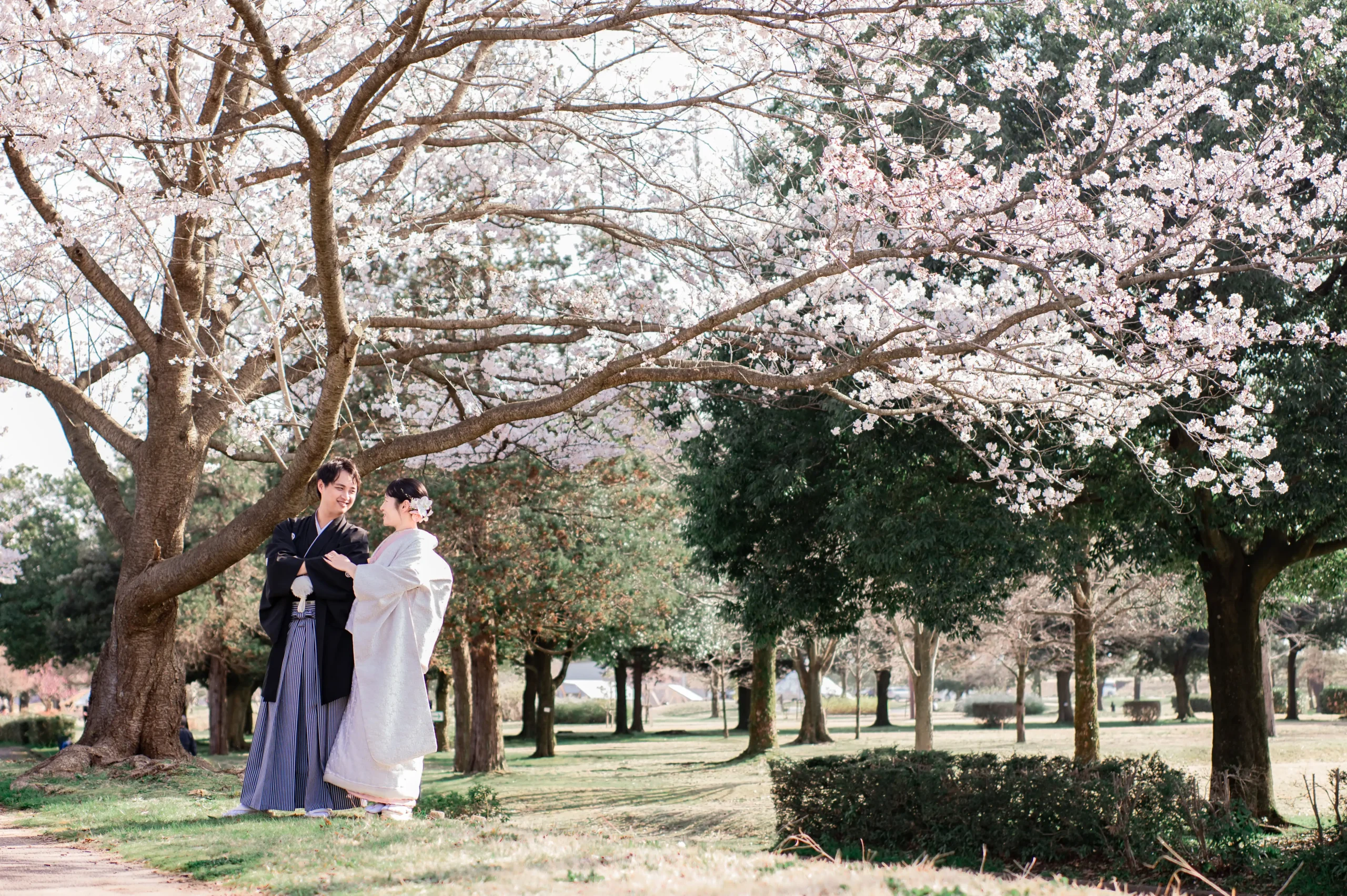 桜　ウェディング　結婚式　富山